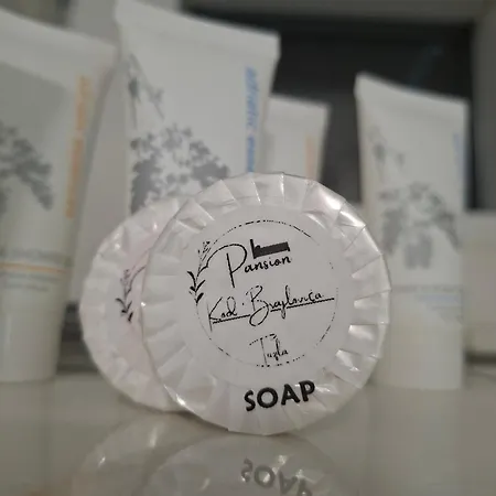 Pansion Kod Brajlovica * Tuzla