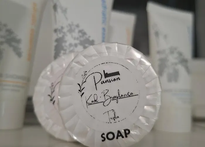 Pansion Kod Brajlovica * Tuzla