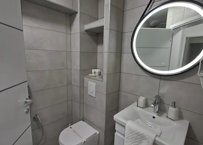 Pansion Kod Brajlovica